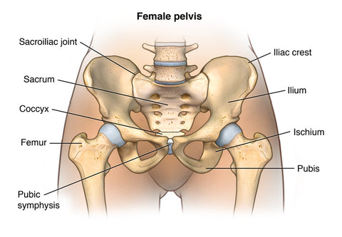 healthy pelvic floor from moms and pregnant women