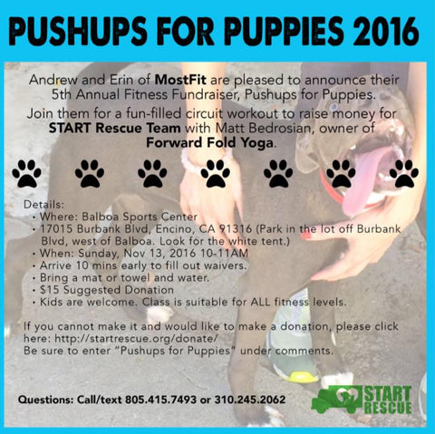 Pushups For Puppies 2016 fitness fundraiser in los angeles