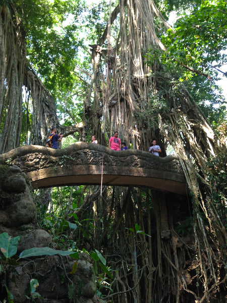 Sacred Monkey Forest, Ubud, Bali