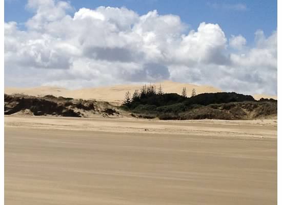Te Paki sand dunes, North Island, New Zealand