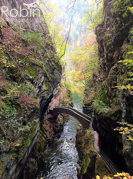 Areuse Gorge bridge, Switzerland