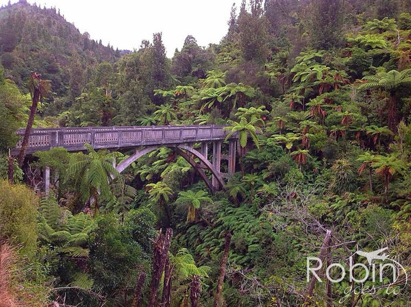 Bridge to Nowhere, Whanganui River Valley, New Zealand