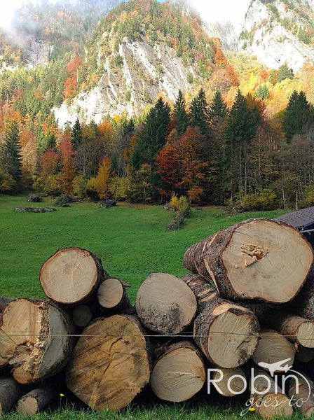 Fall hike through the Grindelwald Valley, Switzerland