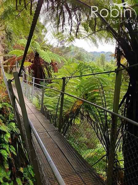 Suspension bridge, Whanganui River Valley, New Zealand