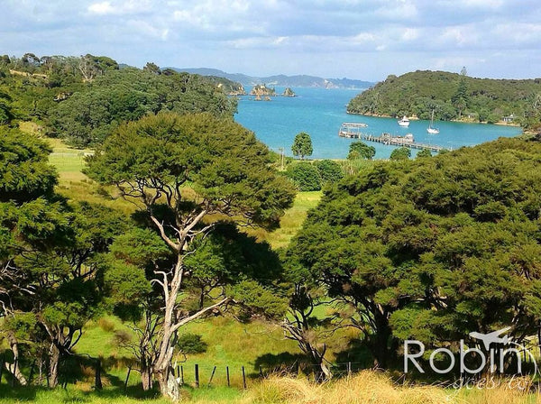 Urupukapuka Island, Bay of Islands, New Zealand