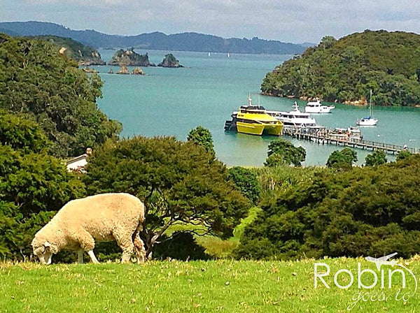 Urupukapuka Island, Bay of Islands, New Zealand