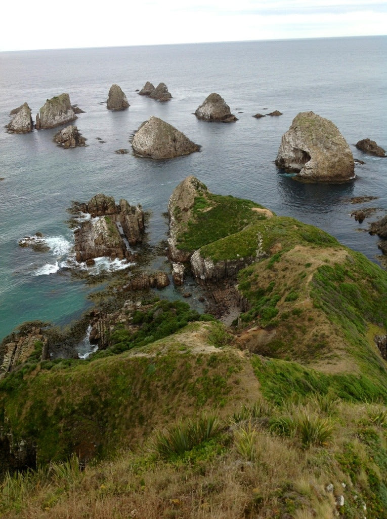 Nugget Point, Catlins Coast, New Zealand