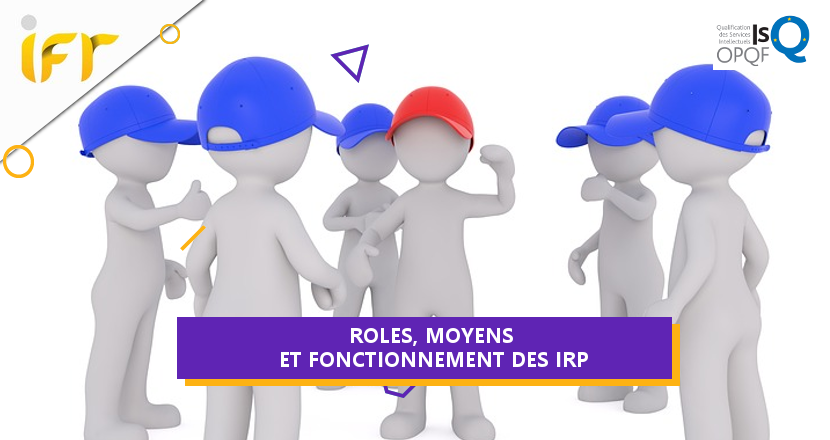 Roles Moyens Et Fonctionnement Des Instances Representatives