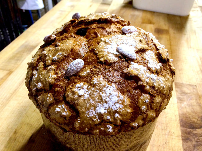 Panettone!!