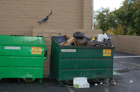 Dumpsters with open lids and overflowing garbage