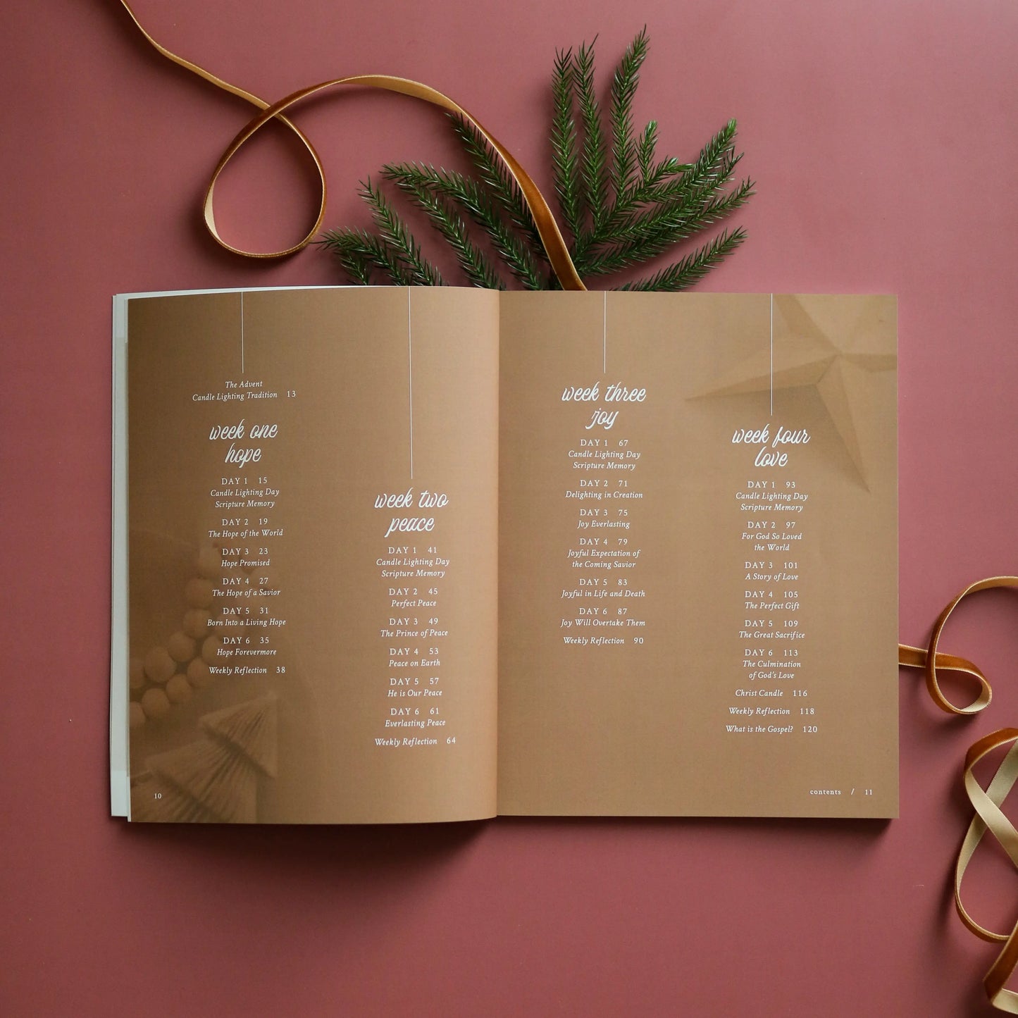 Hope Has Come | Advent Study
