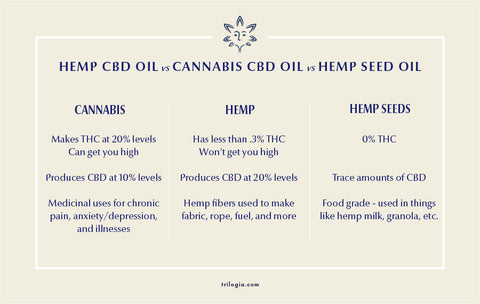 chart explaining the differences between cbd oil, hemp oil and hemp seed oil