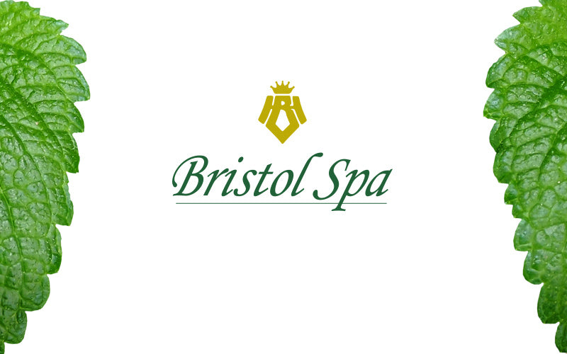 Bristol Spa Hotel Bristol Marina Miracle