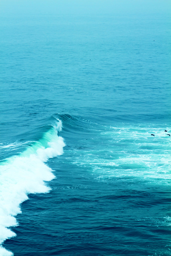 mer vagues écume