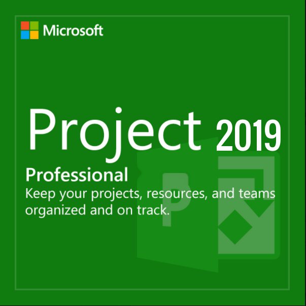 Buy Microsoft Project Professional 2019 64 bit