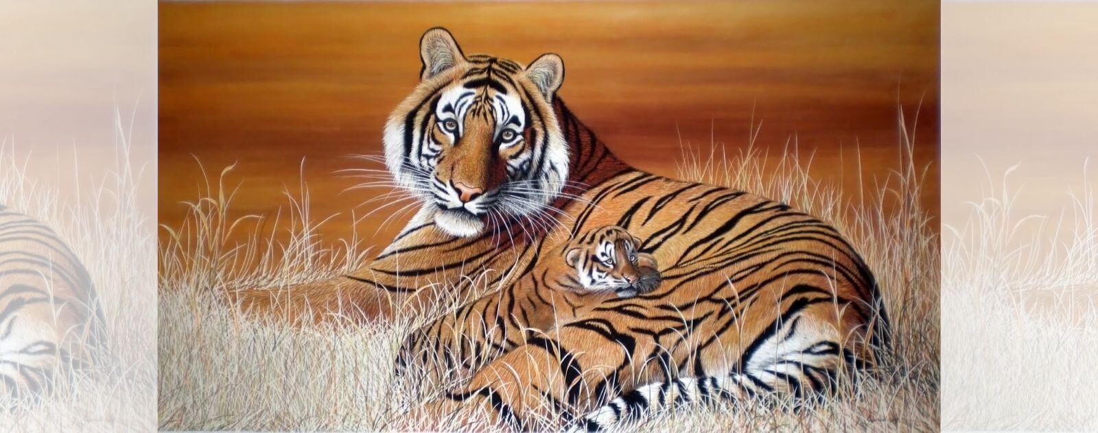 Dessin de Tigre