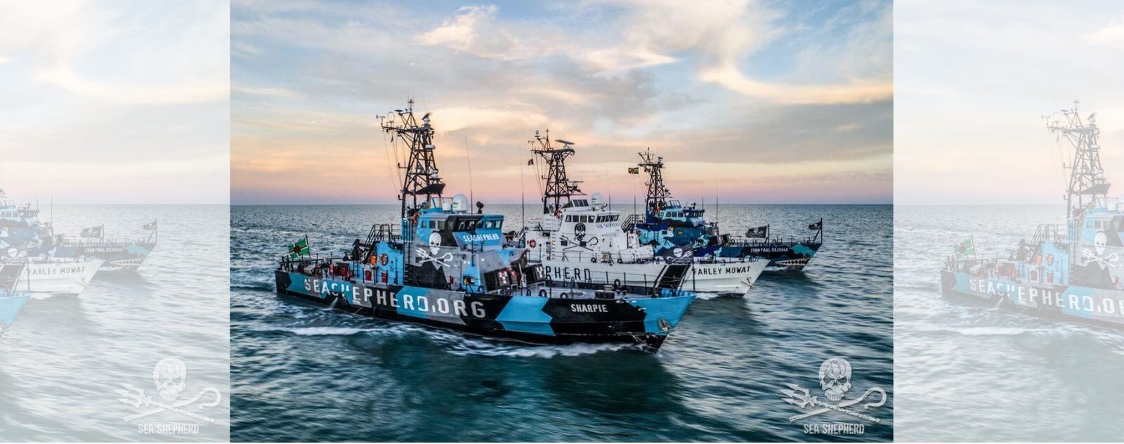 Flotte de Navires Sea Shepherd
