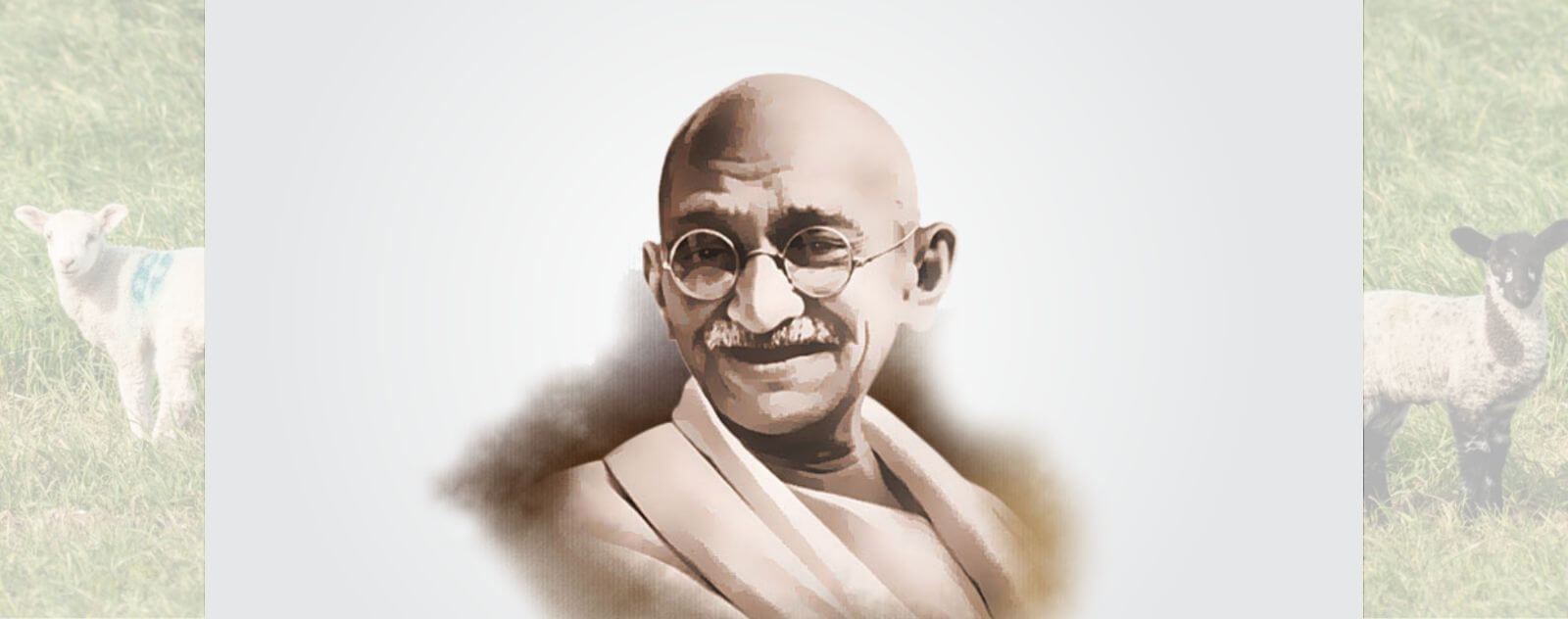 Gandhi avec des Agneaux