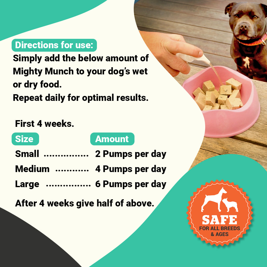 how much fish oil a day for dogs