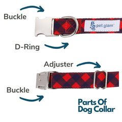 dog collars-puppy collars-collars for small dogs- collars for large dogs-best dog collars online india-deals on dog collars online-cat collars-how to choose a dog collar-dog collar shop near me.