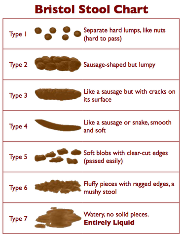 Bristol Stool Chart - Constipation can be a cause of bedwetting in children