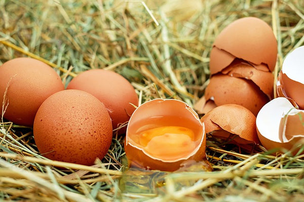 Eier in der Paleo Ernährung