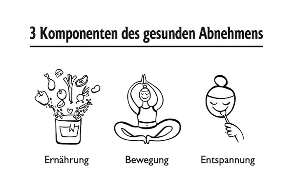 Gesund Abnehmen durch 3 Komponenten