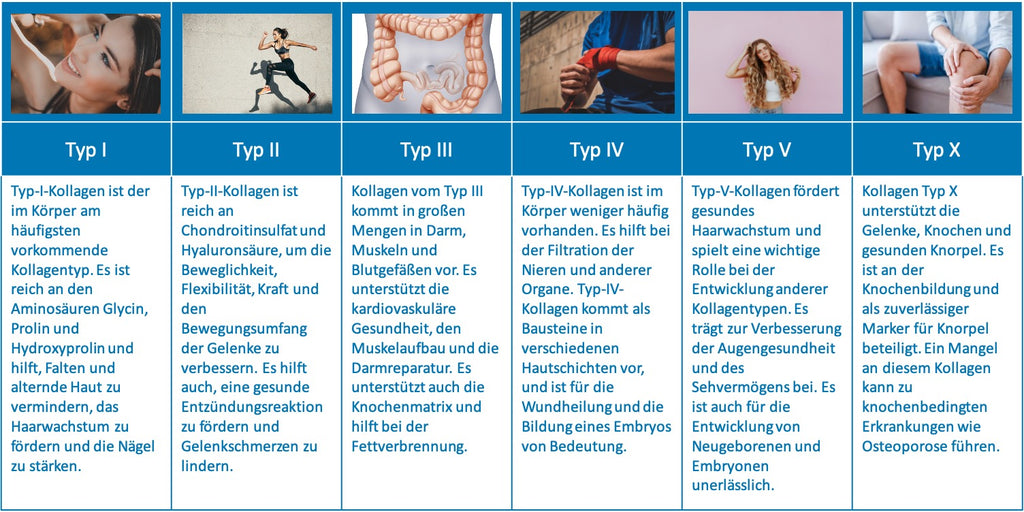 Überblick aller Kollagentypen 1 bis 5