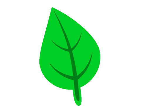 Normal plant leaf