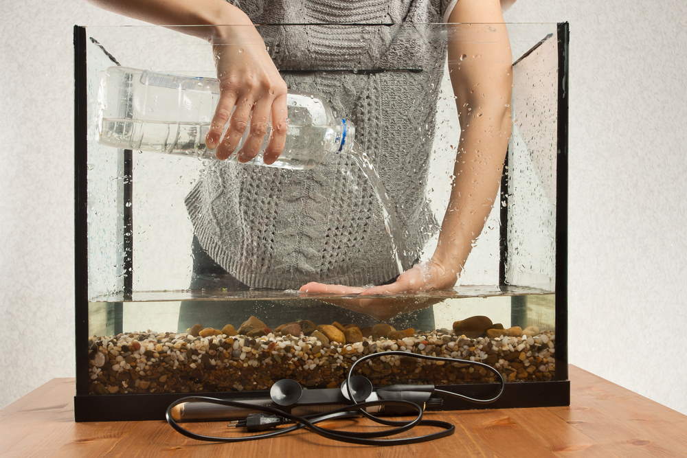 refill aquarium water onto hand