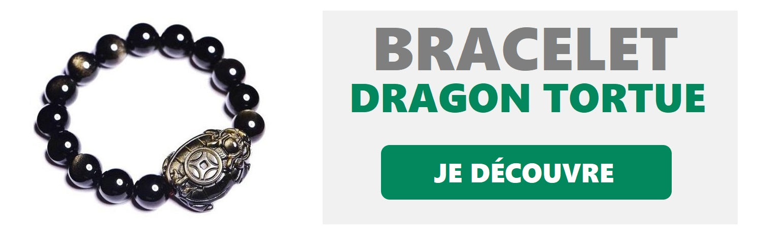 bracelet dragon tortue