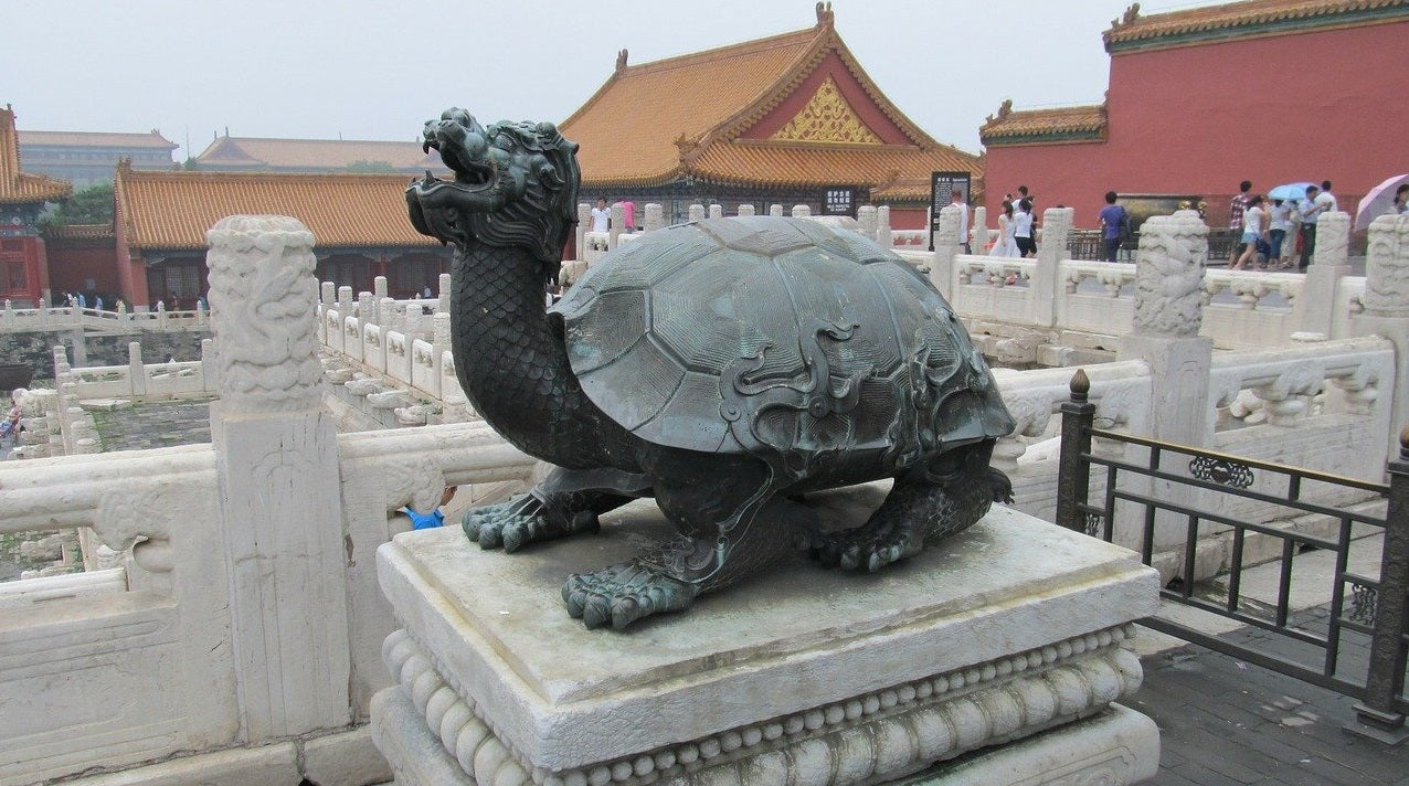 Tortue dragon temple chinois
