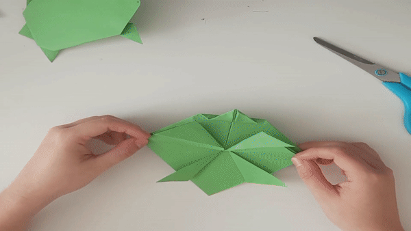 carapace de la tortue origami
