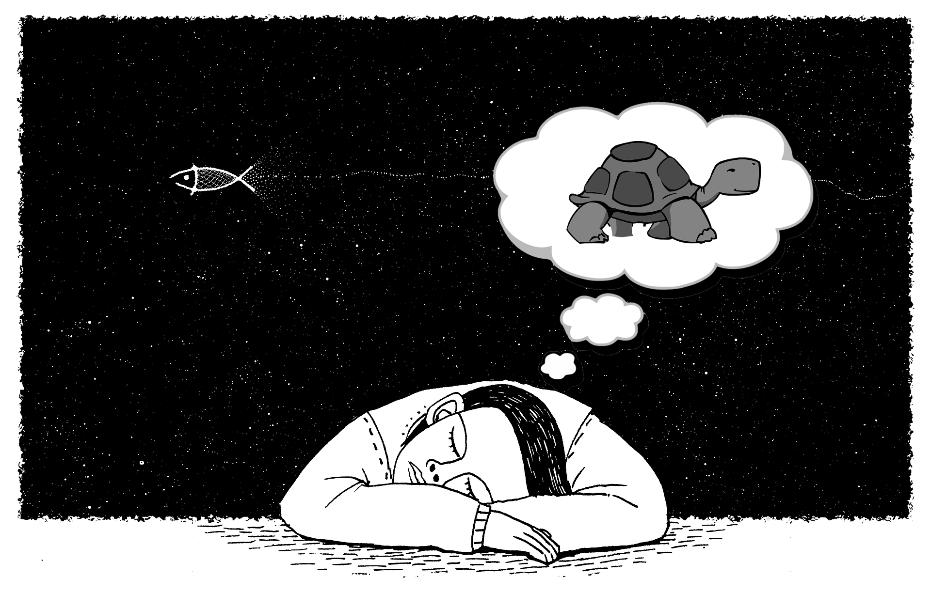 rêve de tortue