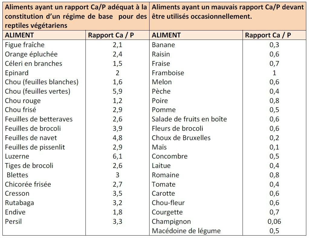 rapport calcium phosphore tortue