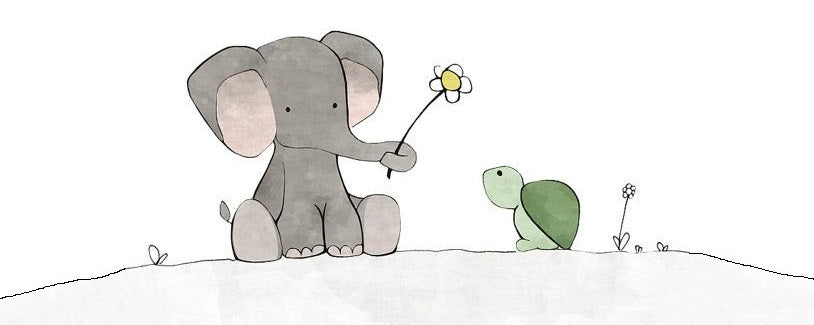 elephant et tortue