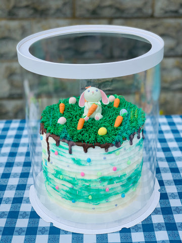 green bunny and carrot cake in tall clear box