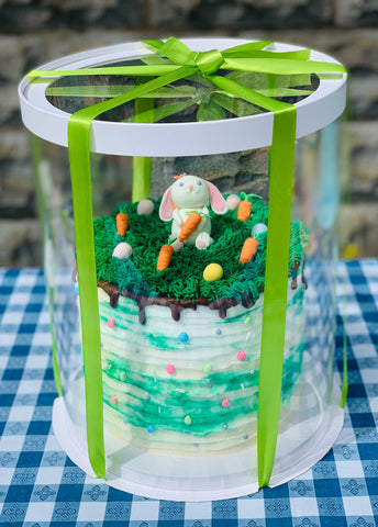 green bunny and carrot cake in tall clear box with ribbon