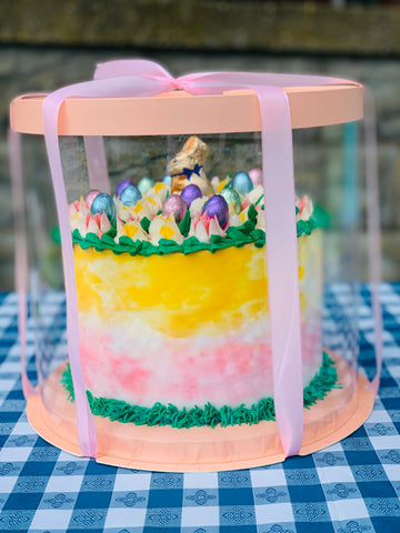 multicolor bunny cake in short clear box with ribbon