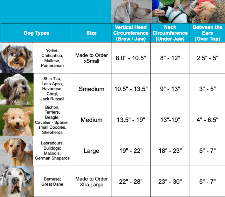 Dog Growth Chart