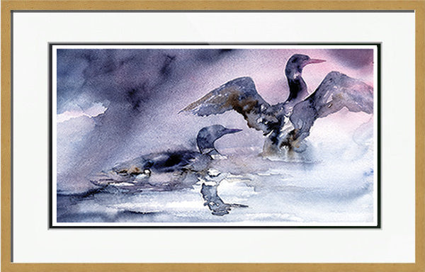 Loon Limited Edition Prints
