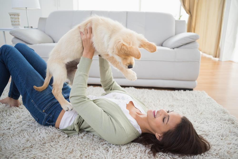 Best Area Rugs for Pet Owners – P.L.A.Y.