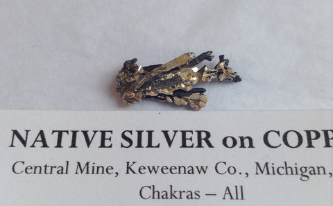 Native Silver on Copper at Venusrox
