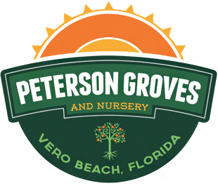 Peterson's Groves  Nursery