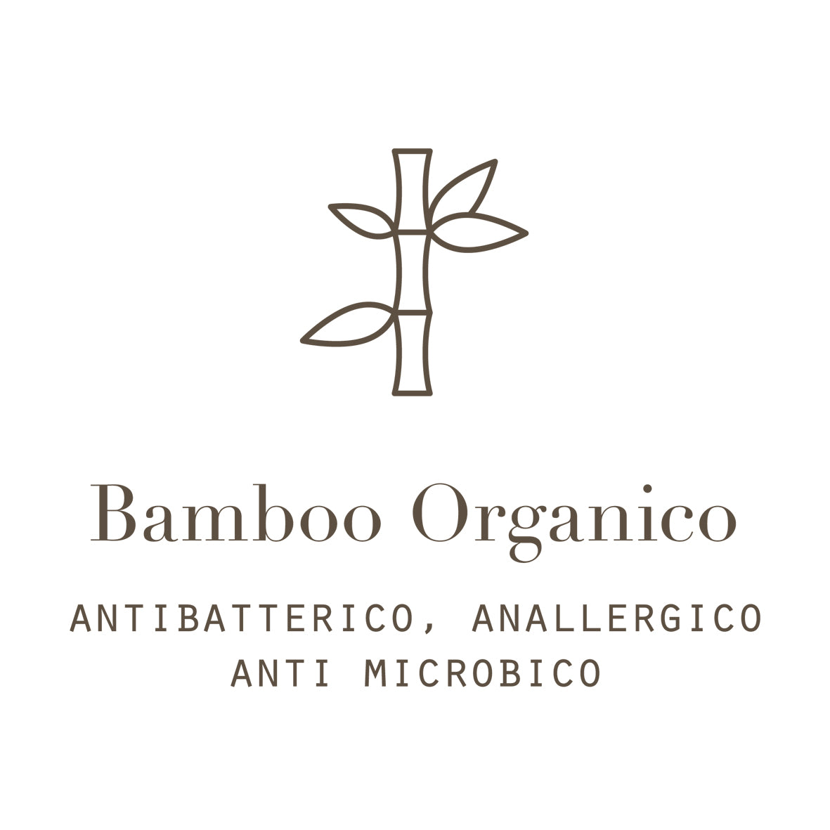 Bamboo Organico