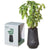 Modern Sprout Black/Basil Tapered Tumbler Grow Kit