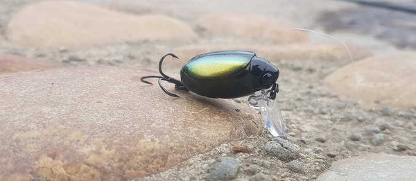 crankbait de surface imitation insecte 