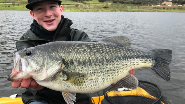 énorme black bass pris en shallow