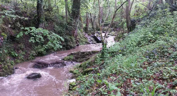 rivière en crue