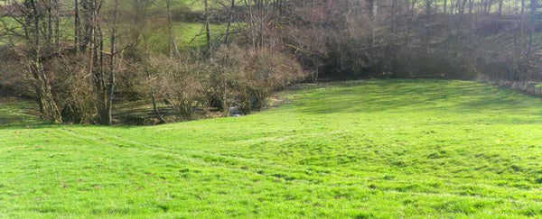 paysage typique de la pêche à la truite en France